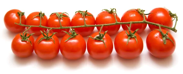 Спелые помидоры на зеленой ветке — стоковое фото