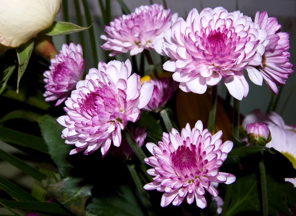 Üzerinden birkaç çiçek buketi — Stok fotoğraf