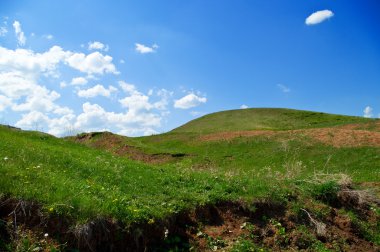 Summer landscape with ravine clipart