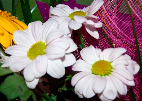 几个鲜花的花束 — 图库照片