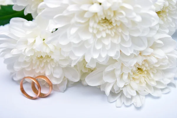Свадебные кольца и белый хризантем 2 — стоковое фото