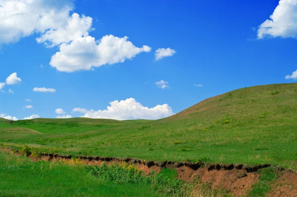 Sommerlandschaft mit Hügeln — Stockfoto