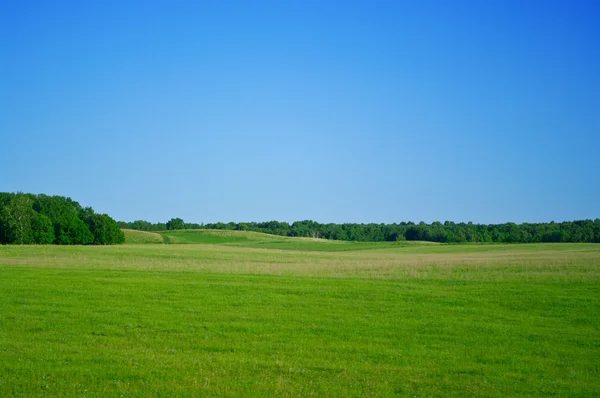 Zelená pole — Stock fotografie