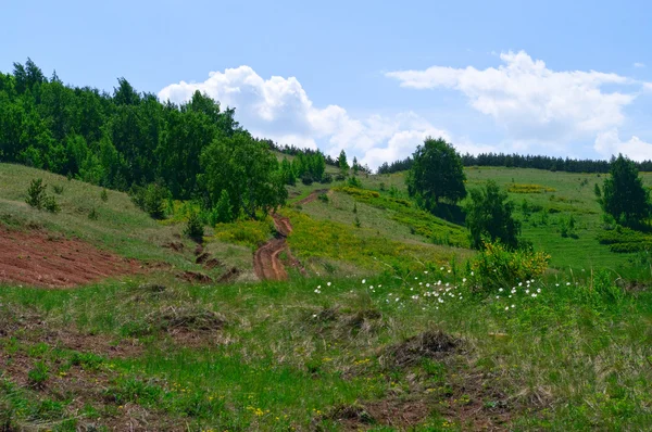 Krajina se silnicí na hillsc — Stock fotografie