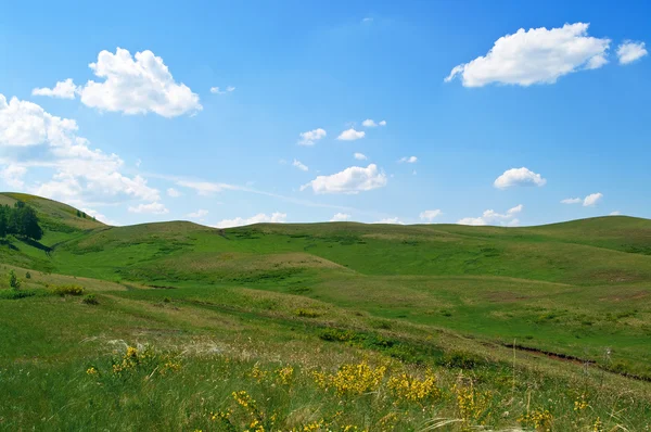 Krajobraz lato ze wzgórza — Zdjęcie stockowe