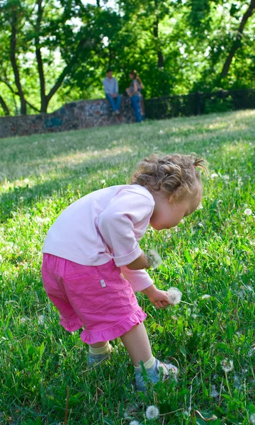 Kleines Mädchen spielt mit Blumen — Stockfoto