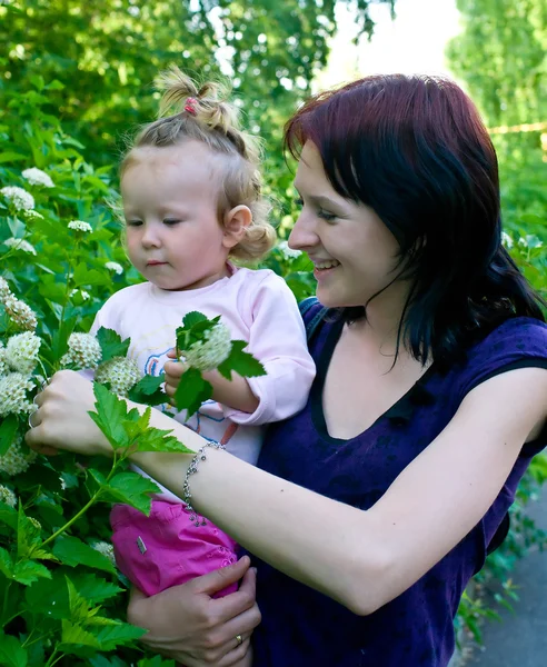 Donne con un bambino contro la natura estiva — Foto Stock