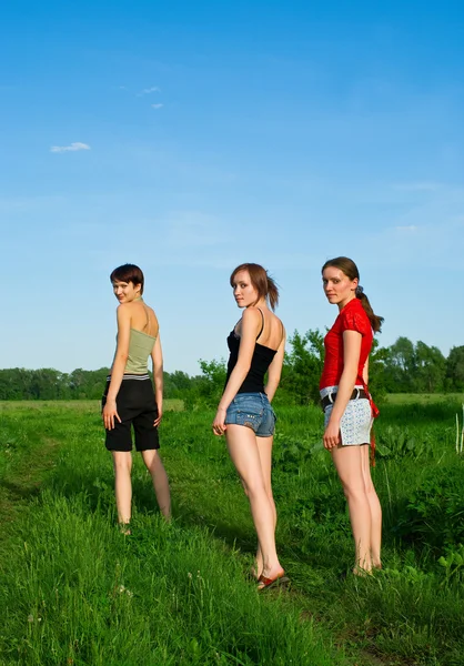 Три молодые красивые девушки — стоковое фото