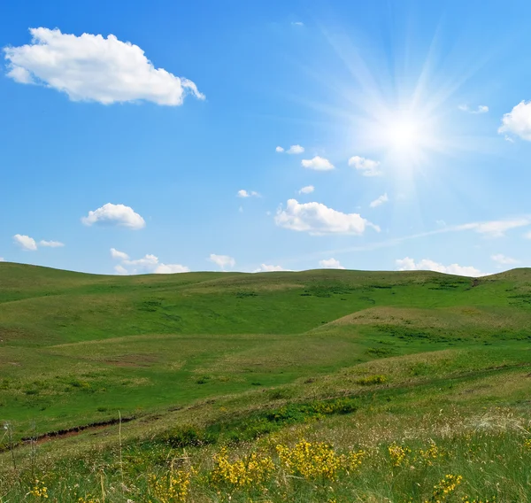 Sommar landskap med kullar — Stockfoto
