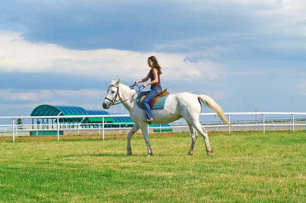 Flickan grensle en häst — Stockfoto