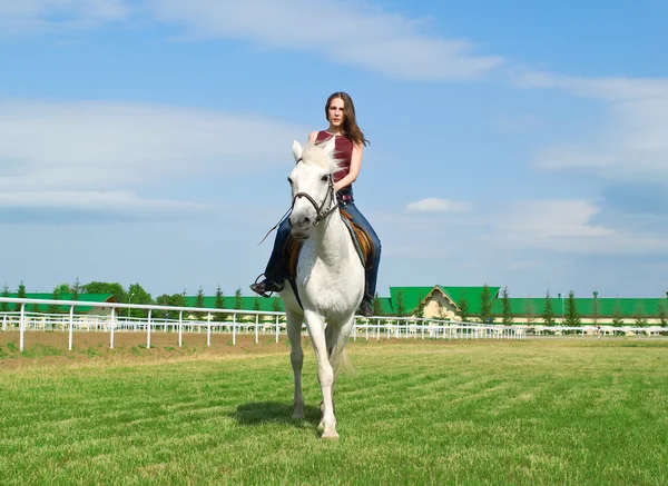 Lugn tjej grensle en häst — Stockfoto