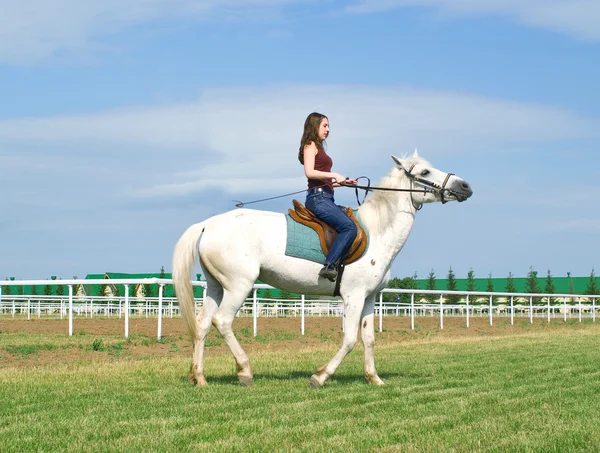 Girl astride a horse on a hippodrome — Stock Photo, Image