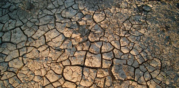 La tierra seca agrietada — Foto de Stock