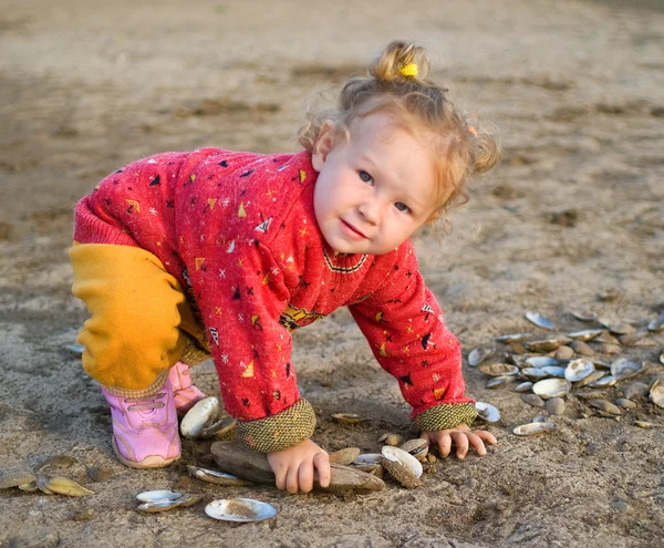 Κοριτσάκι παίζει με cockleshells — Φωτογραφία Αρχείου