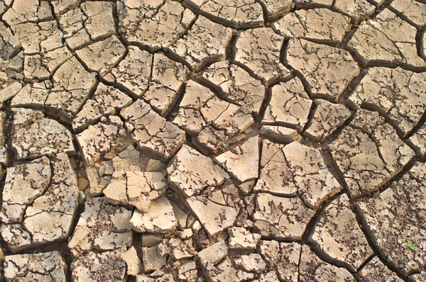Dried up cracked earth — Stock Photo, Image