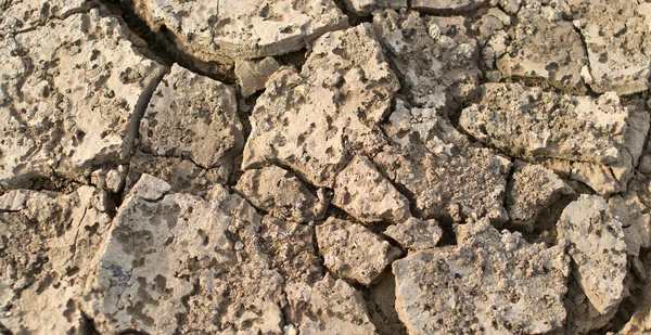 Tierra seca y agrietada —  Fotos de Stock