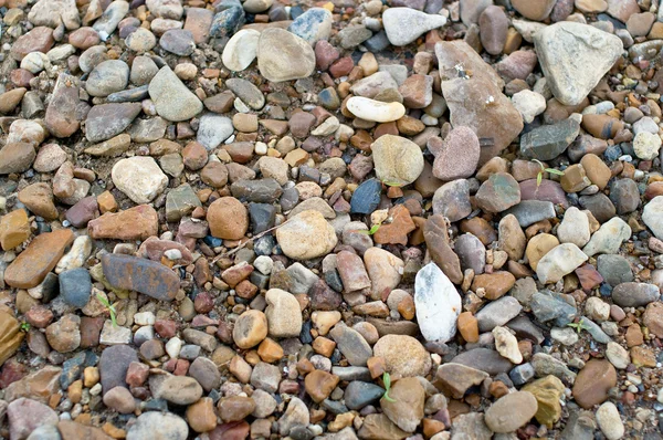 Piedras sobre arena —  Fotos de Stock
