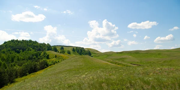 Trees on hills of the Ural mountains — Stock Photo, Image
