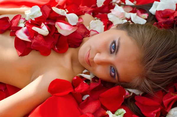 Girl in rose petal Stock Picture