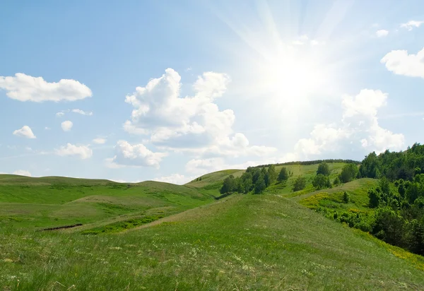 Trees on hills of the Ural mountains — Stock Photo, Image