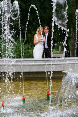 Bride and groom in summer park 2 clipart