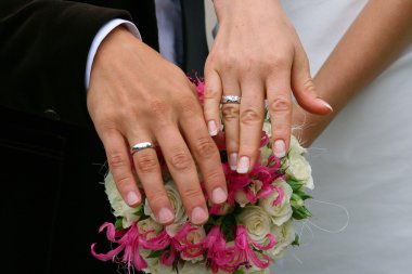 Hands of a newly-married couple clipart