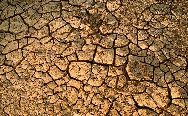 Kırık toprağı Kuru — Stok fotoğraf