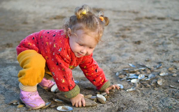 Little girl plays with cockleshells — Stock Photo, Image