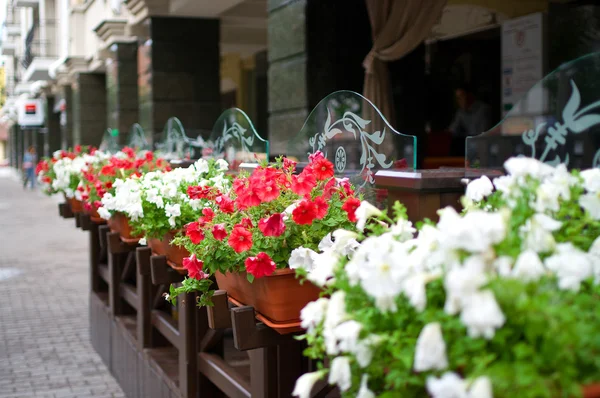 Stock image Outside terrace of restaurant