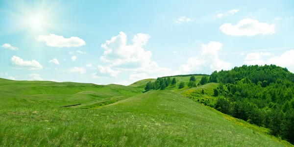 Árboles en las colinas de los Urales — Foto de Stock