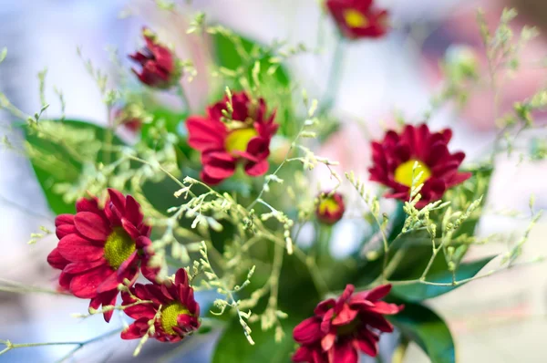 Czerwone kwiaty z zielonymi liśćmi — Zdjęcie stockowe