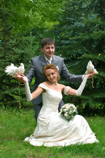 Bride and groom with pigeons — Stock Photo, Image