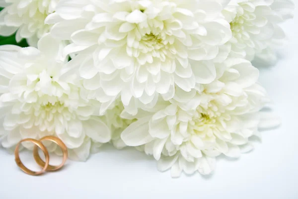 Snubní prsteny a bílé chrysanthemum — Stock fotografie