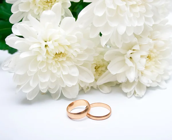 Rings and white chrysanthemum — Stock Photo, Image