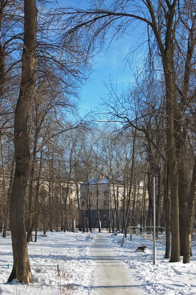 Vinter på park — Stockfoto