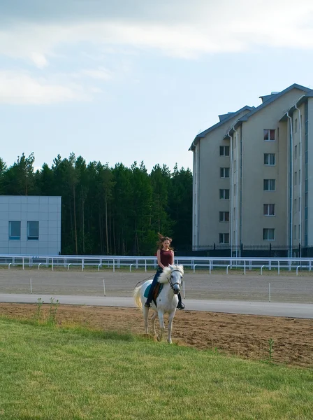 Flicka grensle en häst på en Hippodromen — Stockfoto