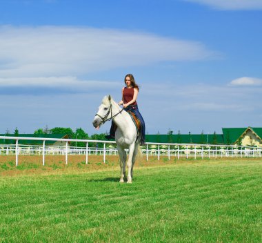 Girl embraces a white horse clipart