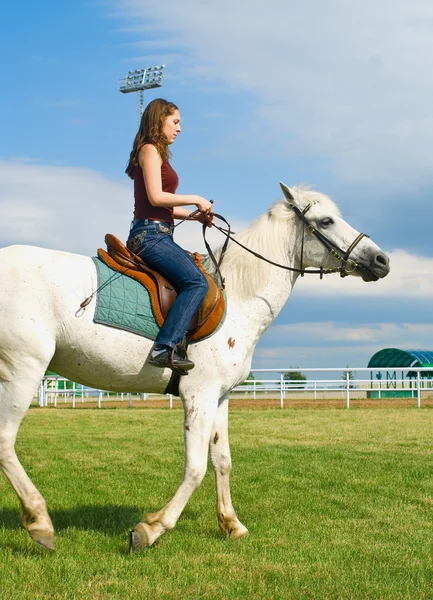 Meisje omvat een wit paard — Stockfoto