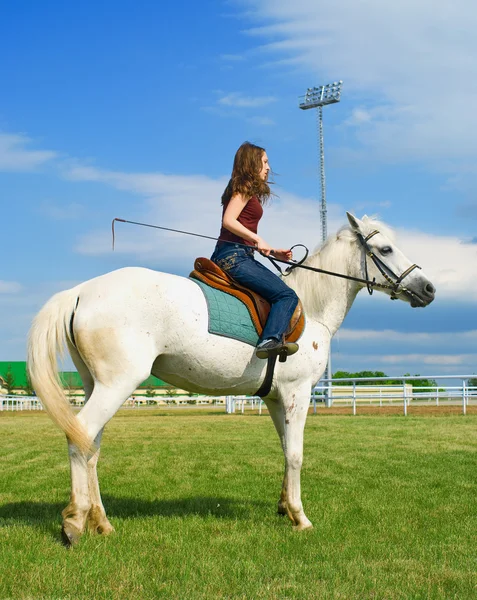 Young girl embraces a white horse — Stock Photo, Image