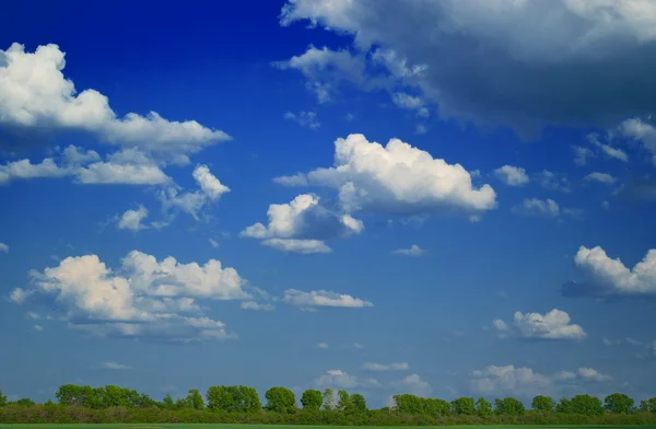 Bos en blauwe lucht — Stockfoto