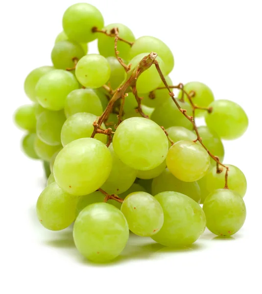 Uvas verdes —  Fotos de Stock