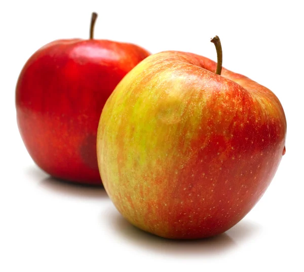 Красные яблоки на белом — стоковое фото