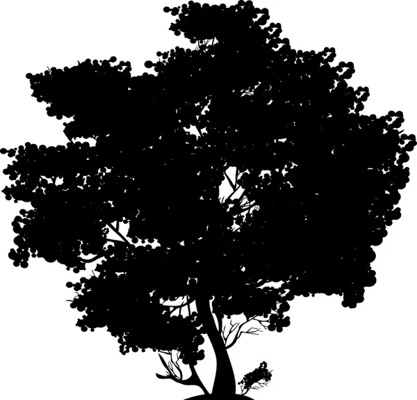 Musta puu — vektorikuva
