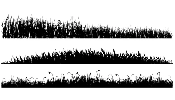 Three variants of black grass — Stock Vector