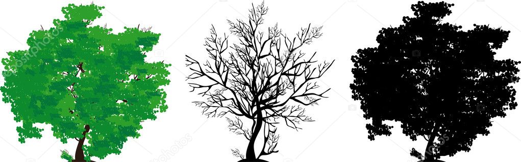 1,121 Three tree silhouette Vector Images | Depositphotos