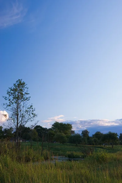 stock image Landscape