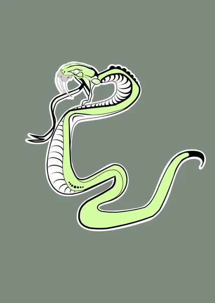 녹색 뱀 — 스톡 벡터