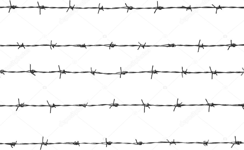 Five pieces of barbed wire