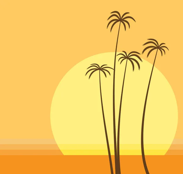 Palm beach — Stockfoto