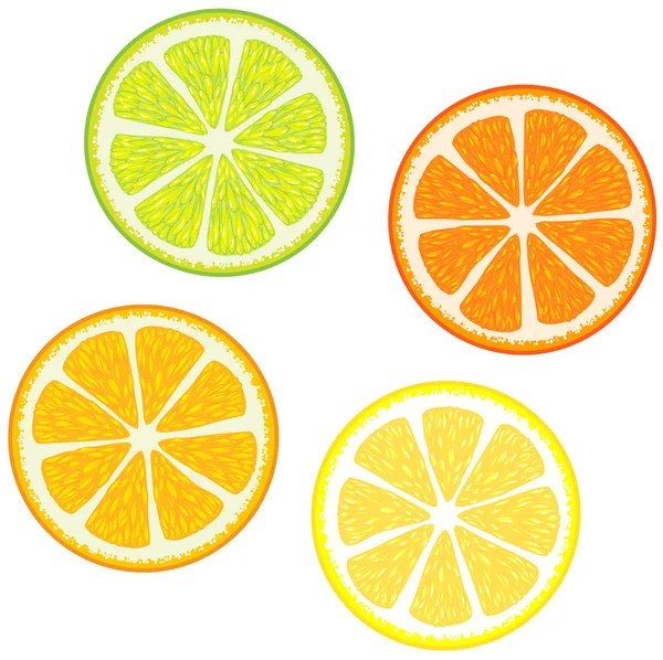Slices of citrus fruits — Stock Photo, Image